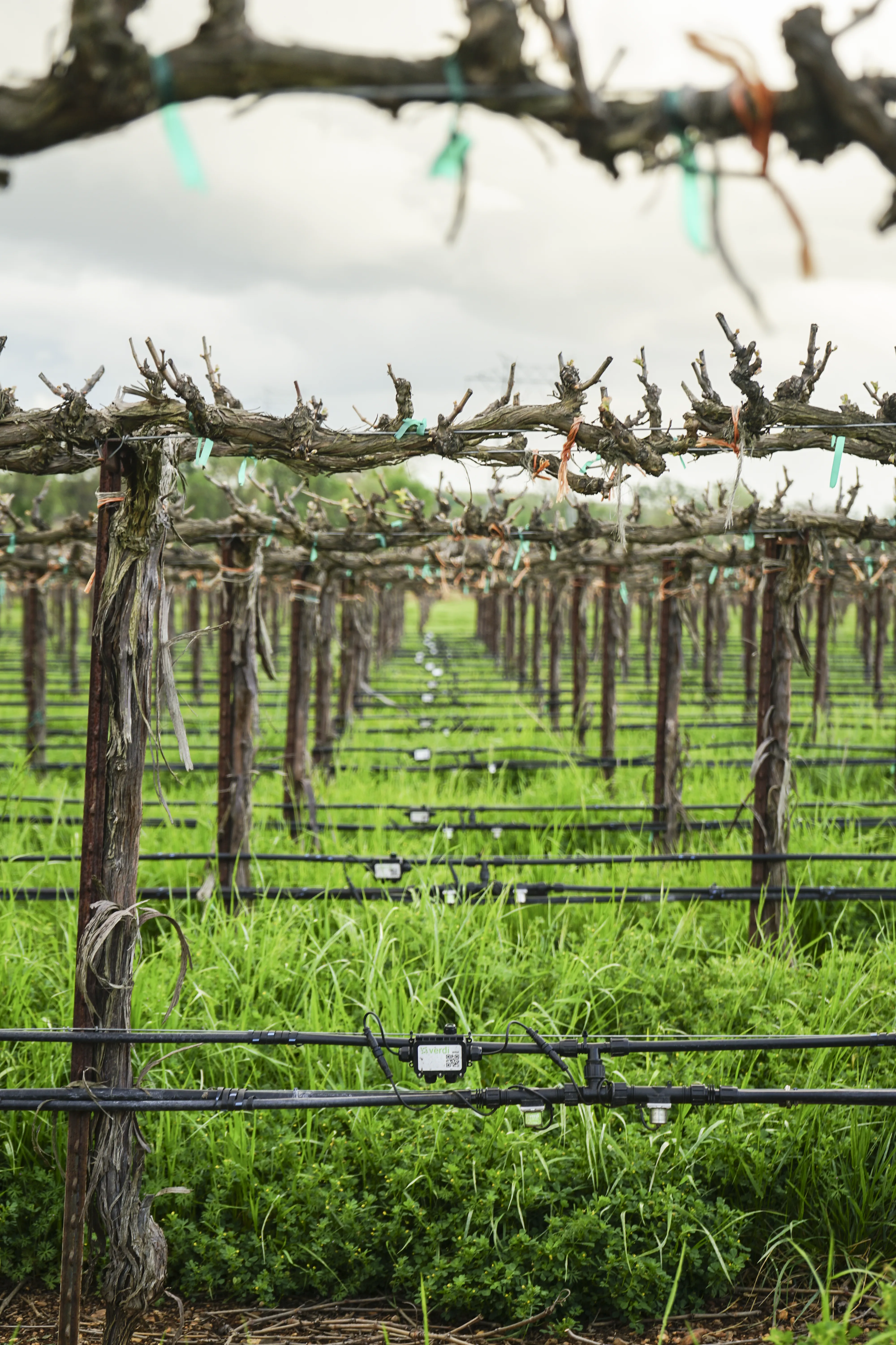 Micro Block Controller