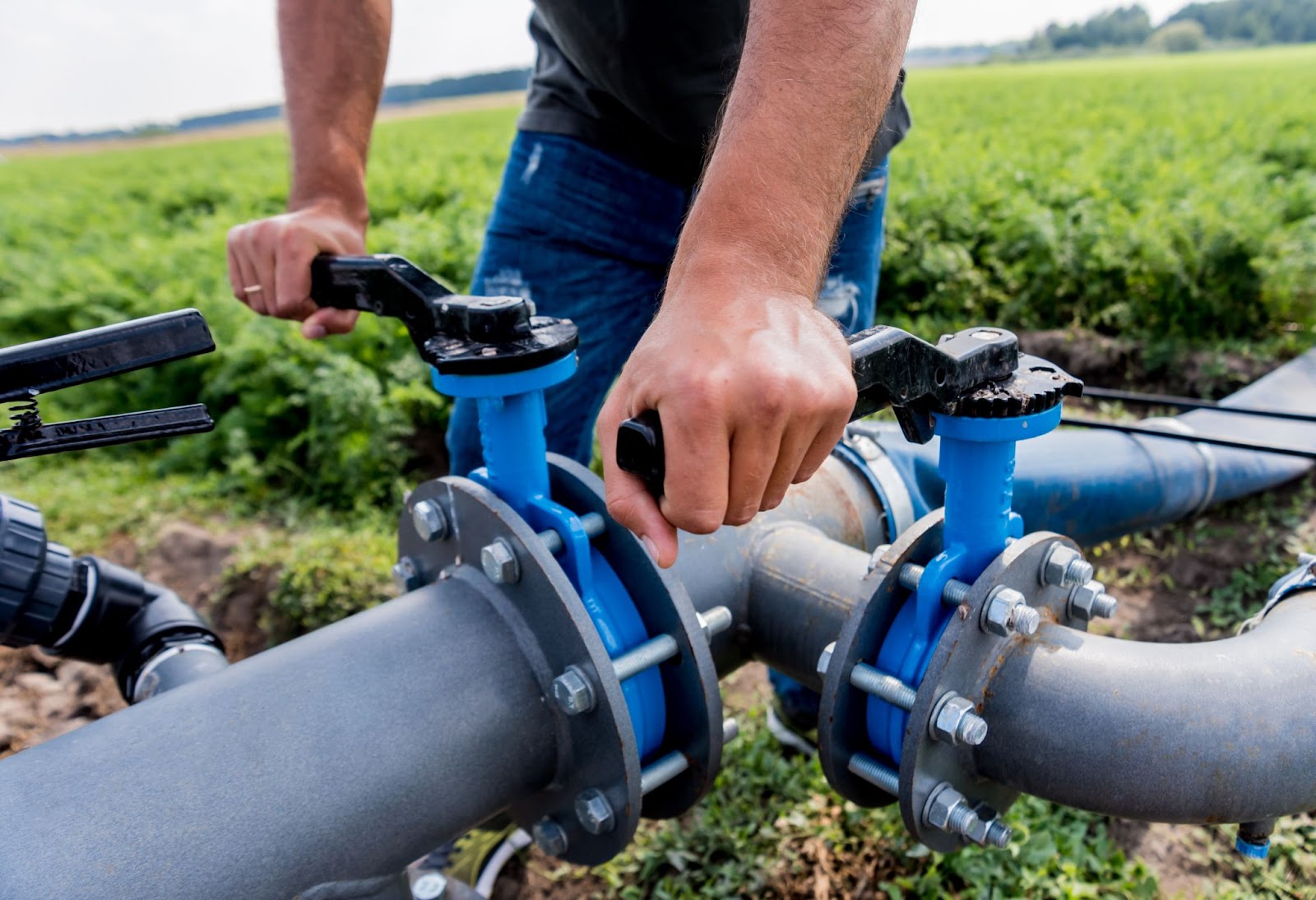 Farm worker manually turning on an irrigation valve